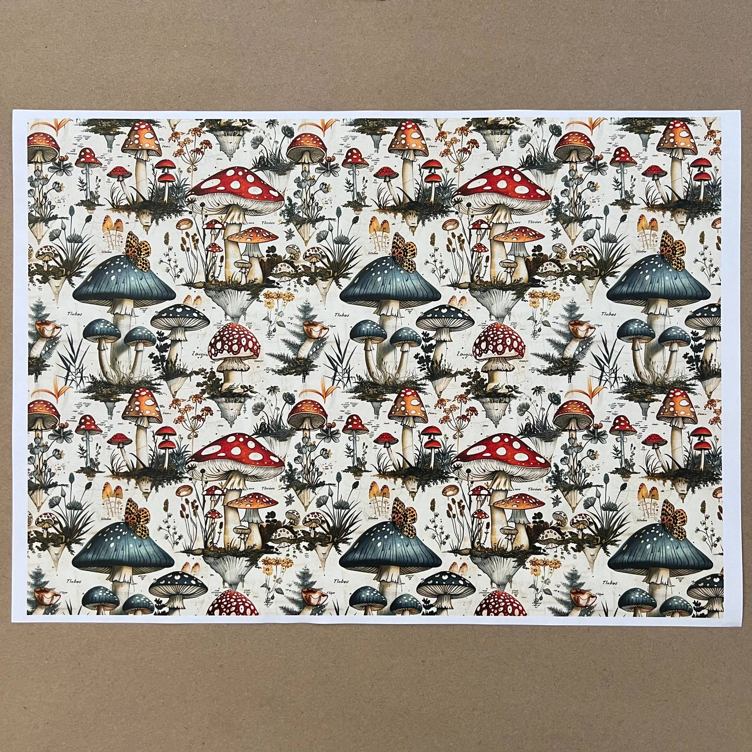 Распечатка ФН3 40 х 28,8 см