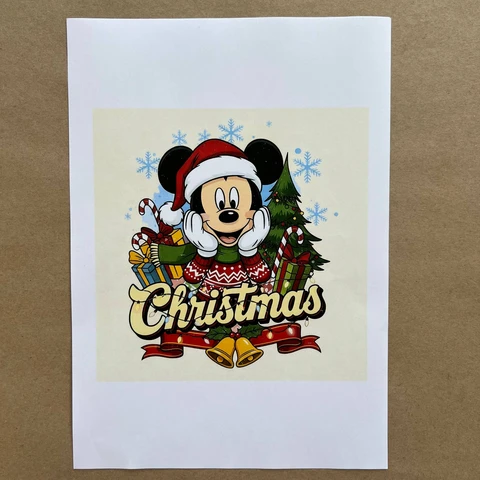 Распечатки ФСГН2 18 х 18 см