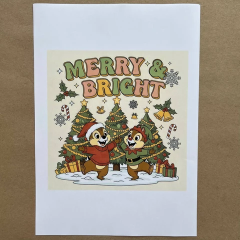 Распечатки ФСГН2 18 х 18 см