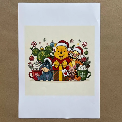 Распечатки ФСГН2 18 х 18 см