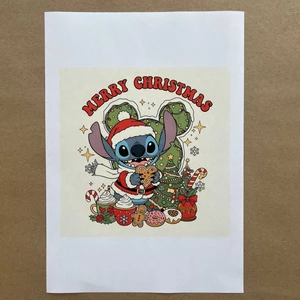 Распечатки ФСГН2 18 х 18 см