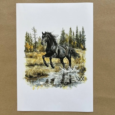 Распечатки ФСГН20 18 х 18 см