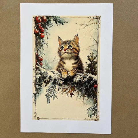 Распечатки ФСВН17 24 х 15,5 см