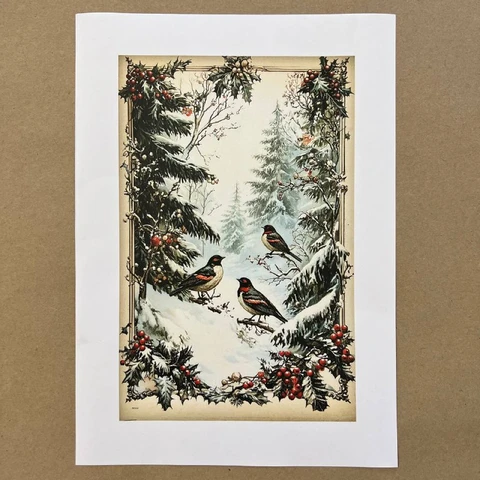 Распечатки ФСВН19 24 х 15,5 см