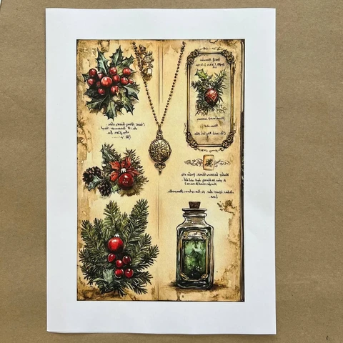 Распечатки ФСВН41 24 х 15,5 см для вживления