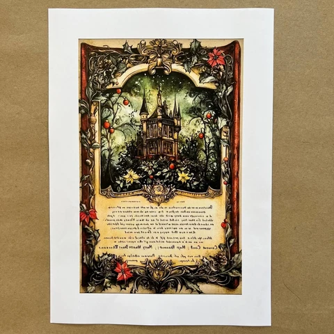 Распечатки ФСВН42 24 х 15,5 см для вживления