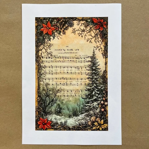 Распечатки ФСВН42 24 х 15,5 см для вживления