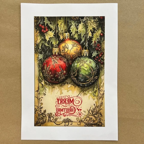 Распечатки ФСВН43 24 х 15,5 см для вживления