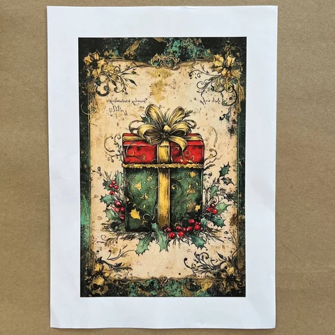 Распечатки ФСВН43 24 х 15,5 см для вживления