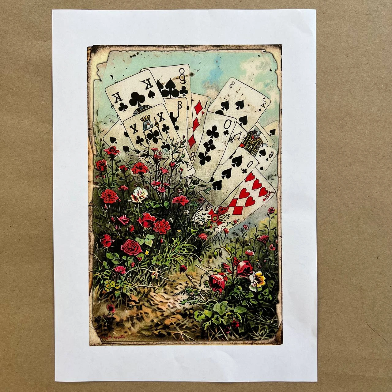 Распечатки ФСВН44 24 х 15,5 см для вживления