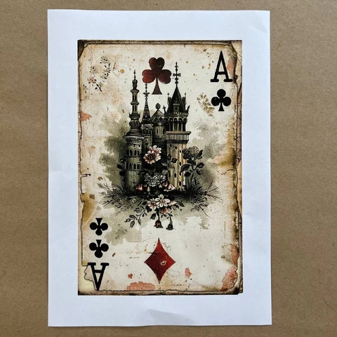 Распечатки ФСВН44 24 х 15,5 см для вживления