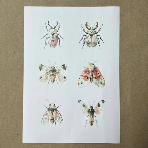 Распечатки ИМ12 30 х 21 см