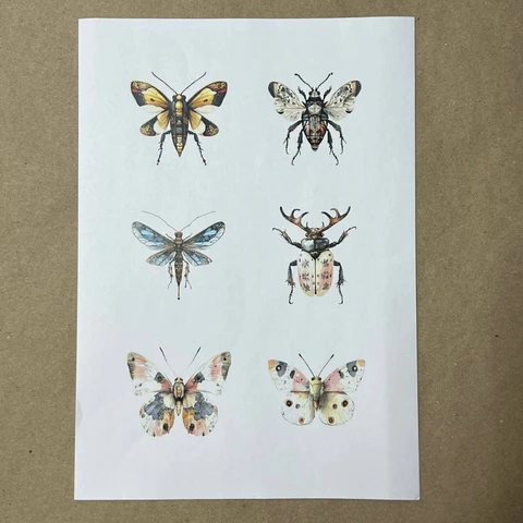 Распечатки ИМ12 30 х 21 см