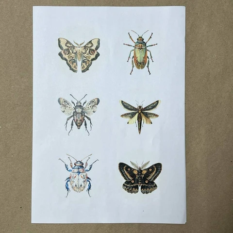 Распечатки ИМ12 30 х 21 см