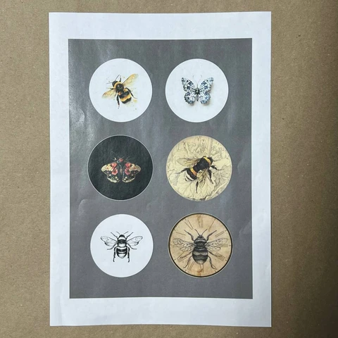 Распечатки ИМ12 30 х 21 см