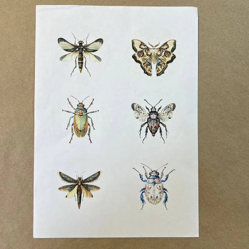 Распечатки ИМ12 30 х 21 см