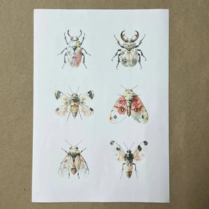 Распечатки ИМ12 30 х 21 см