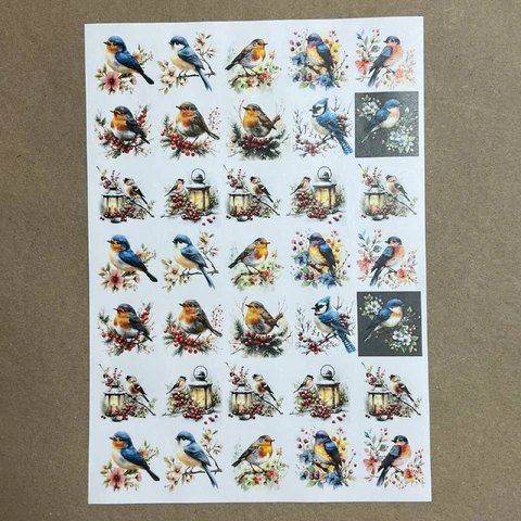 Распечатки ИМ24 21 х 30 см