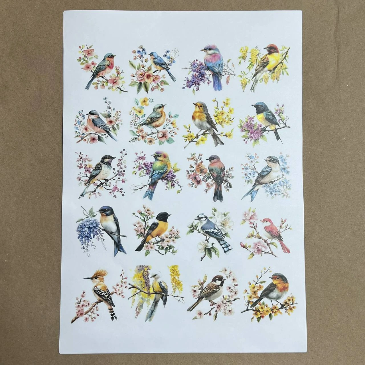 Распечатки ИБ9 29,5 х 41,5 см