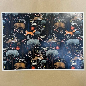 Распечатка ФН24 40 х 28,8 см