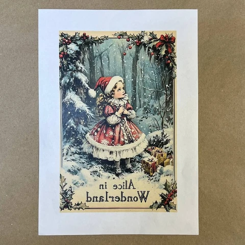 Распечатки ФСВН45 24 х 15,5 см для вживления