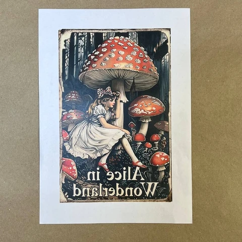 Распечатки ФСВН45 24 х 15,5 см для вживления