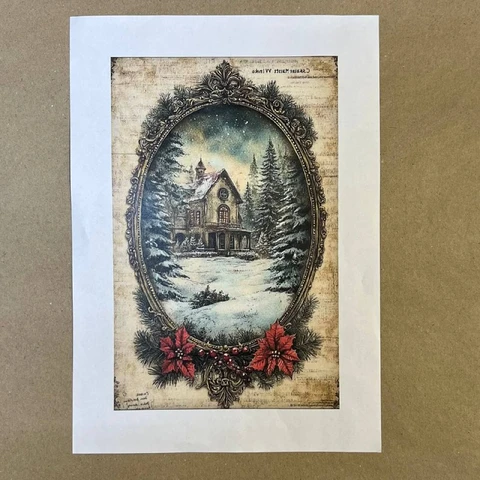 Распечатки ФСВН46 24 х 15,5 см для вживления