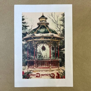 Распечатки ФСВН46 24 х 15,5 см для вживления