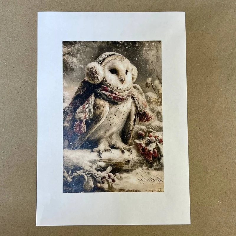 Распечатки ФСВН49 21 х 14 см