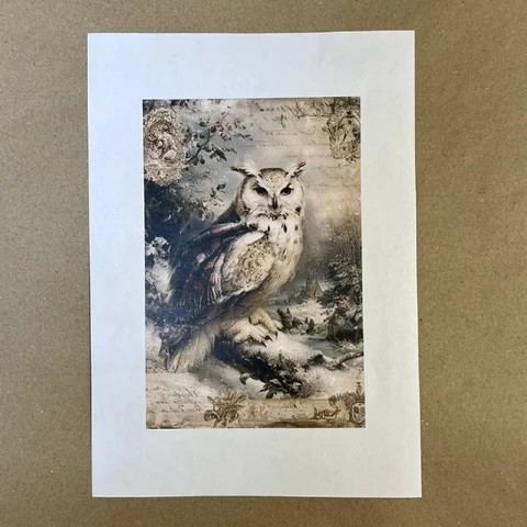 Распечатки ФСВН49 21 х 14 см