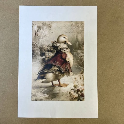 Распечатки ФСВН50 21 х 14 см