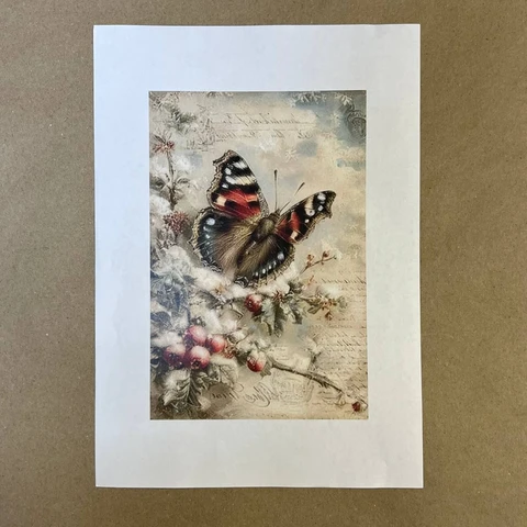 Распечатки ФСВН51 21 х 14 см