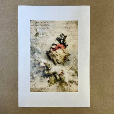 Распечатки ФСВН51 21 х 14 см