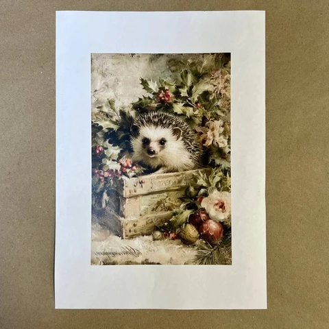 Распечатки ФСВН52 21 х 14 см