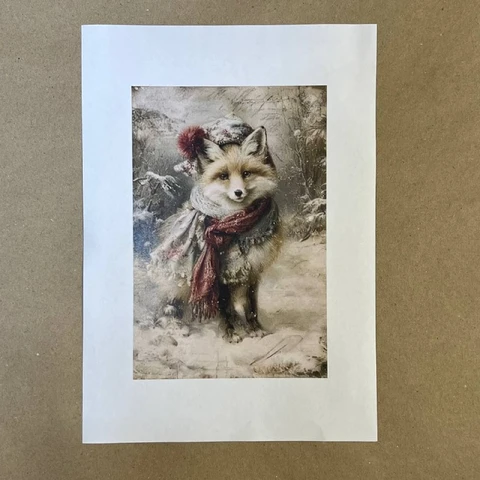 Распечатки ФСВН53 21 х 14 см