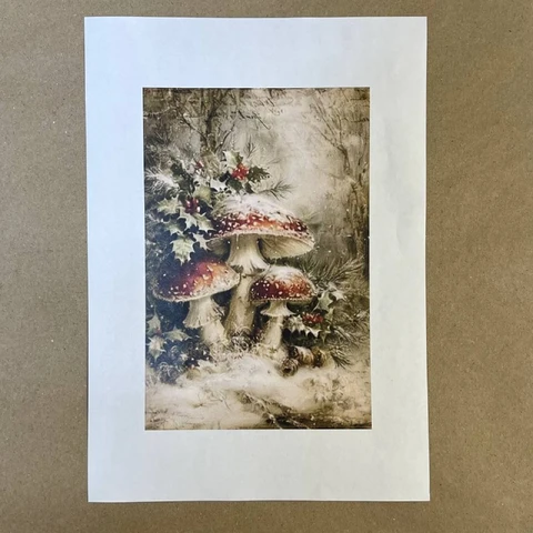 Распечатки ФСВН54 21 х 14 см