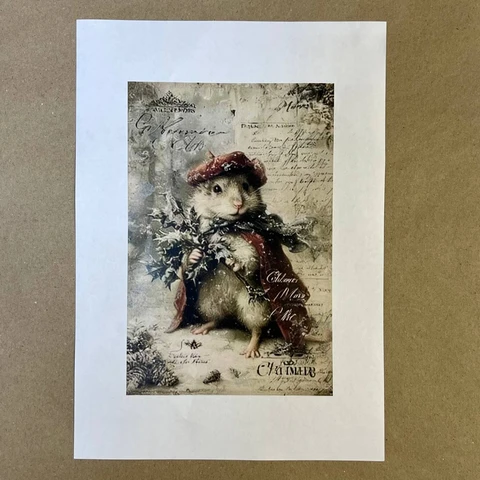 Распечатки ФСВН55 21 х 14 см