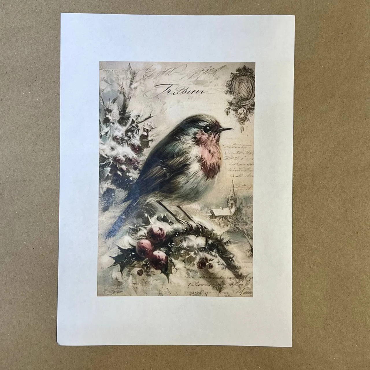 Распечатки ФСВН50 21 х 14 см