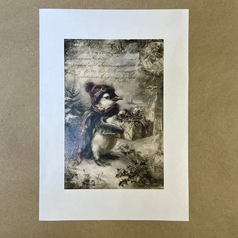 Распечатки ФСВН50 21 х 14 см