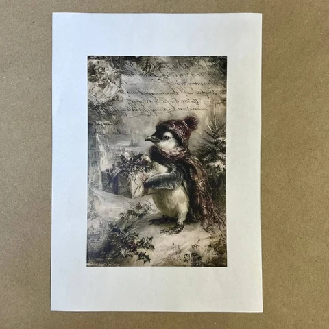 Распечатки ФСВН58 21 х 14 см для вживления