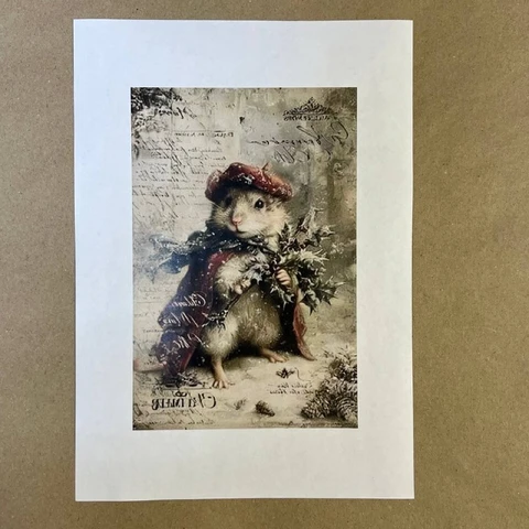 Распечатки ФСВН60 21 х 14 см для вживления