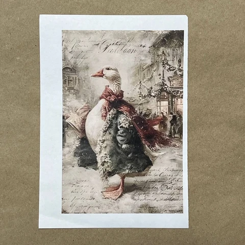 Распечатки ФМН1 18 х 12 см