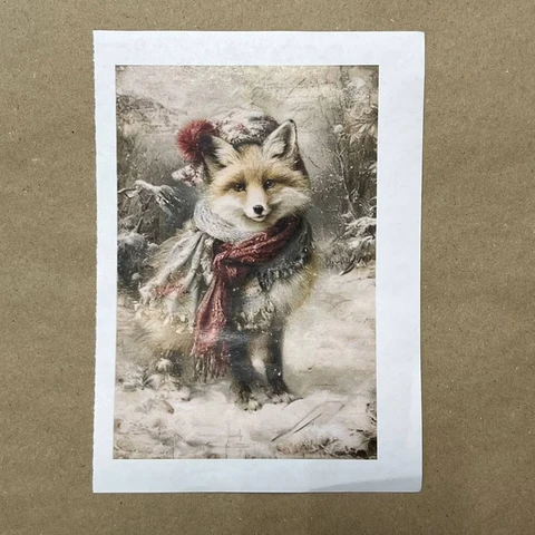 Распечатки ФМН2 18 х 12 см