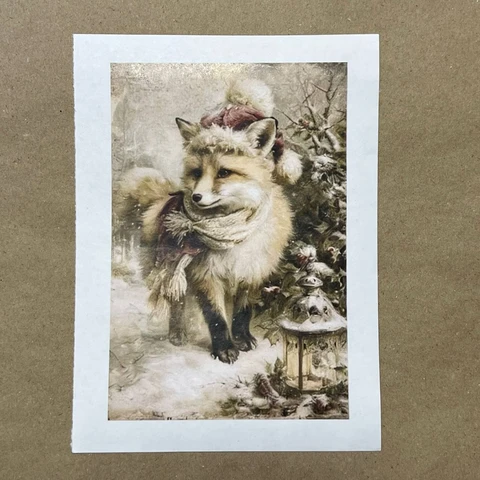 Распечатки ФМН2 18 х 12 см