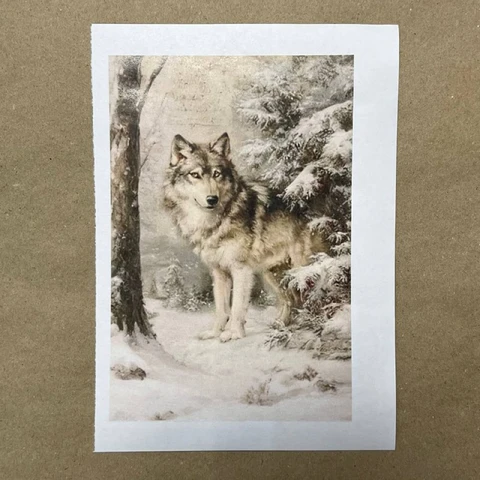 Распечатки ФМН2 18 х 12 см