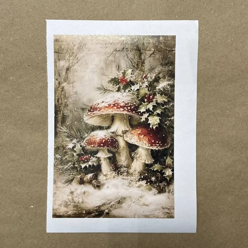 Распечатки ФМН4 18 х 12 см