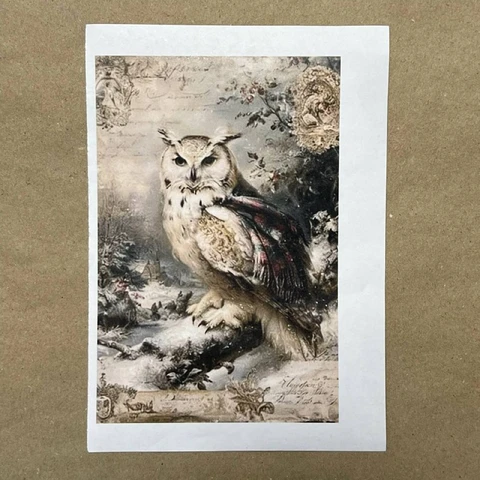 Распечатки ФМН5 18 х 12 см