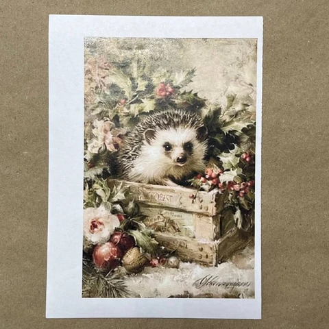 Распечатки ФМН6 18 х 12 см