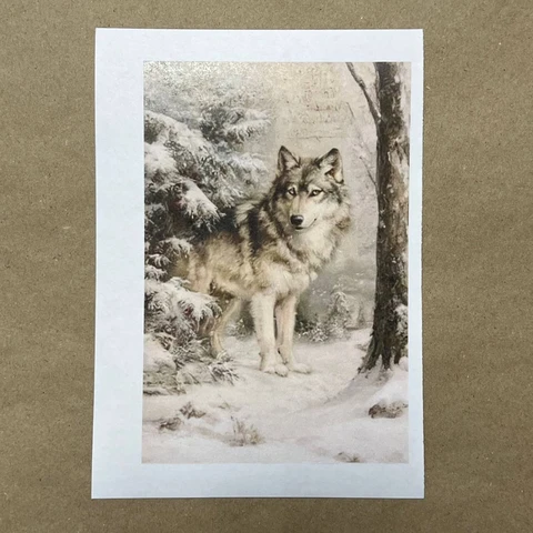 Распечатки ФМН9 18 х 12 см для вживления