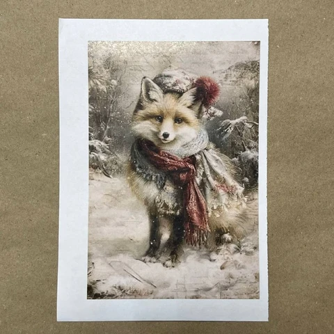 Распечатки ФМН9 18 х 12 см для вживления